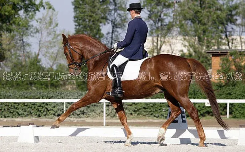 杏盛测速app官方下载最新版诸葛科技揭秘足球运动员因被折磨致死的真相，警示体育界安全风险