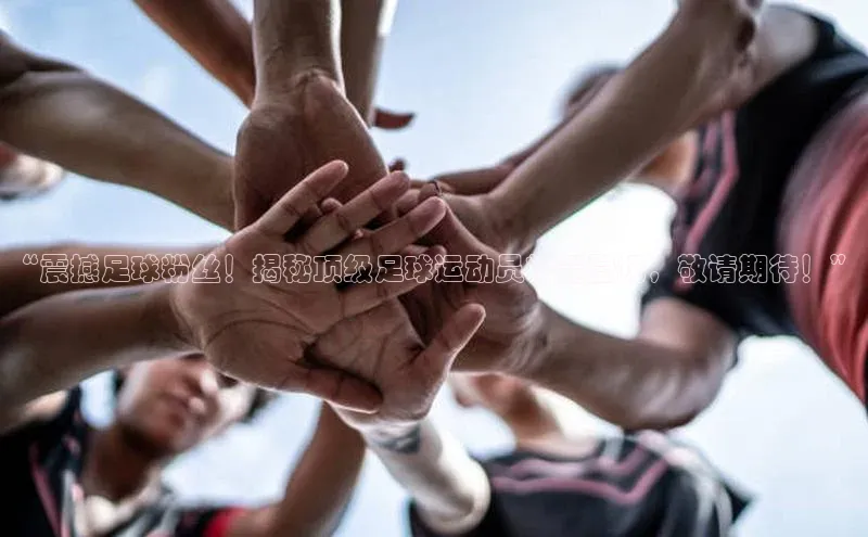 杏盛娱乐轻美电器“震撼足球粉丝！揭秘顶级足球运动员粉墨登场，敬请期待！”