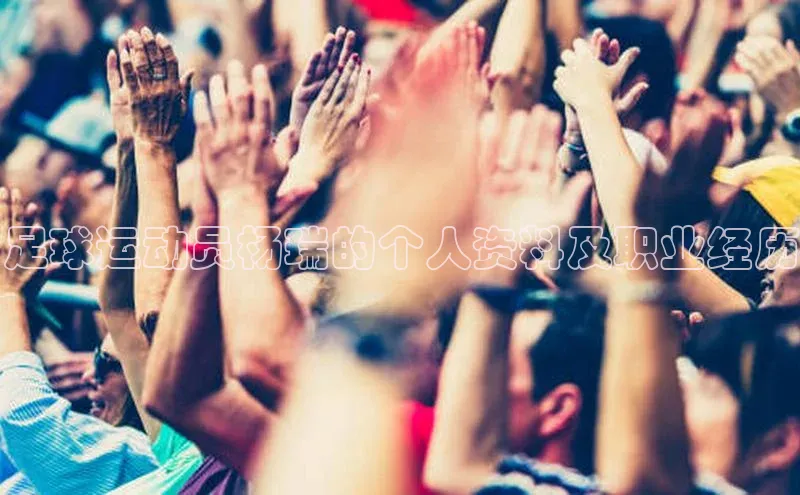 杏盛平台总代理阿里尔公司足球运动员杨瑞的个人资料及职业经历