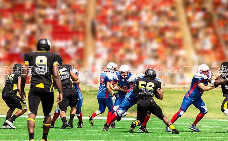 杏盛app官方下载最新版本更新内容华策影视辽宁运动会：荣耀与竞技的盛宴——精彩赛事回顾与展望