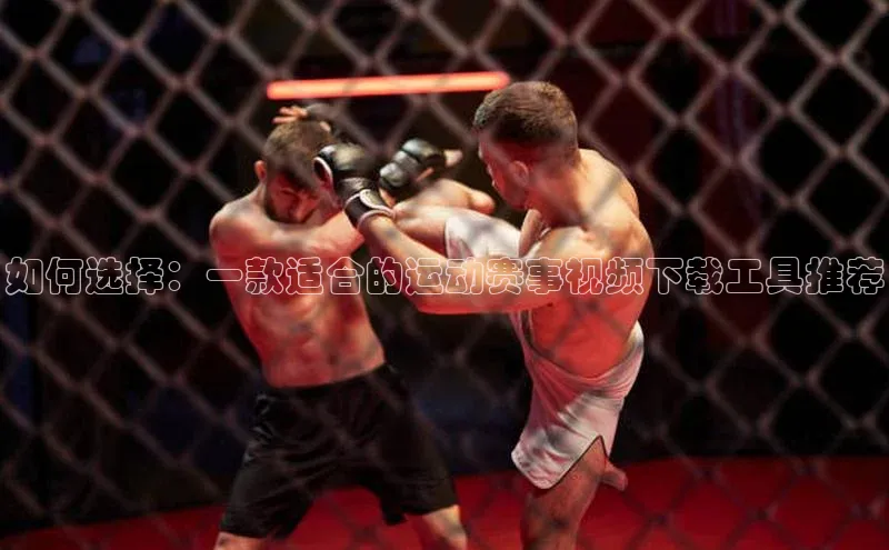 杏盛测速登录入口爱慕股份如何选择：一款适合的运动赛事视频下载工具推荐