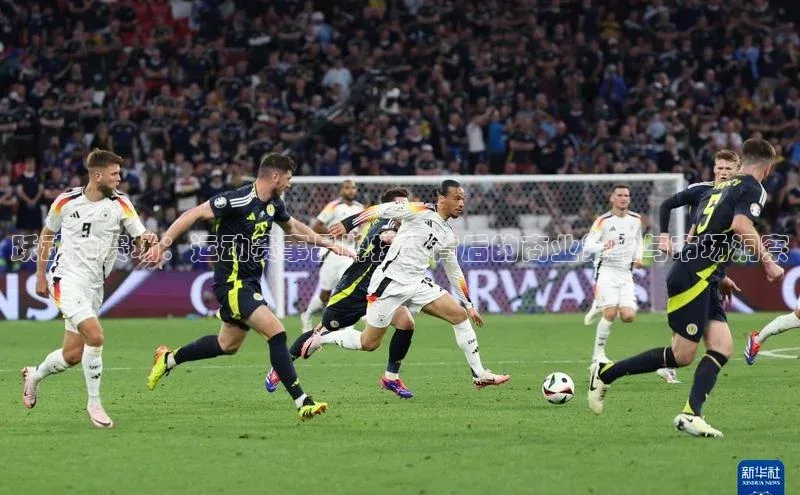 跃动的赛场：运动赛事品牌授权背后的商业策略与市场洞察