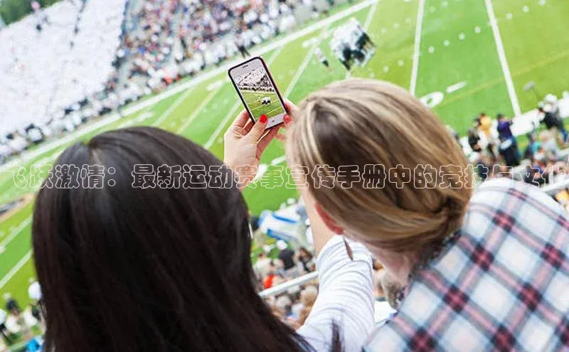 飞跃激情：最新运动赛事宣传手册中的竞技与文化