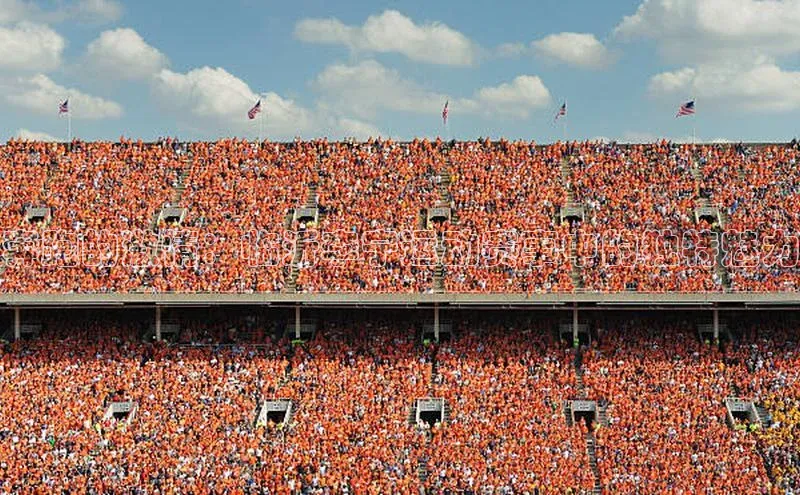 奔跑的激情：临沂李宁运动赛事中的独特魅力