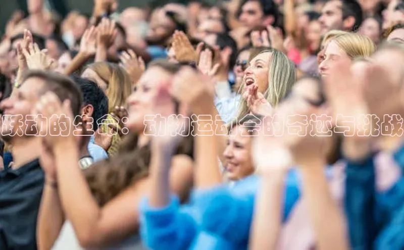 跃动的生命：动物运动会的奇迹与挑战