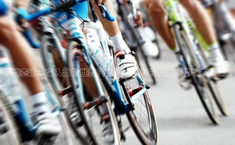 跨越赛道：深入剖析世界汽车运动赛事的发展历程与未来趋势