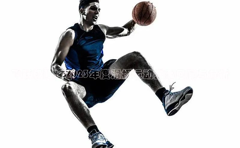 飞跃极限：2023年度滑板运动盛事回顾与分析