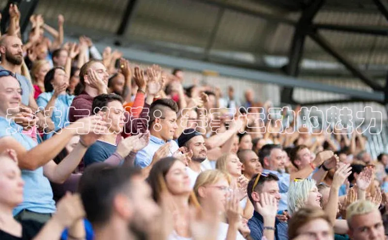 竞技与激情：赛事运动的魅力