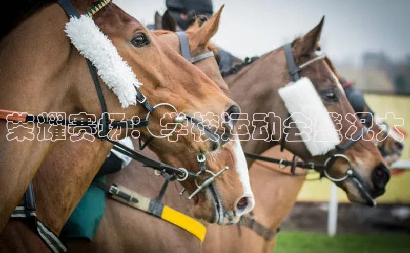 荣耀赛场：学校运动会盛况大
