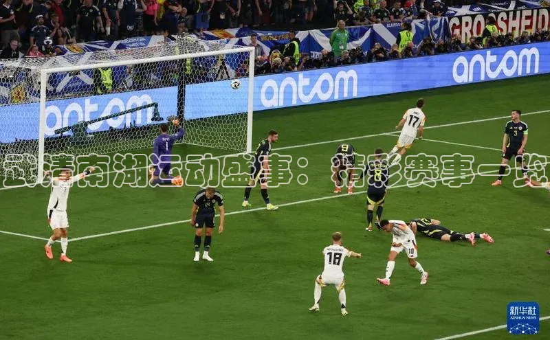 武清南湖运动盛事：精彩赛事一览