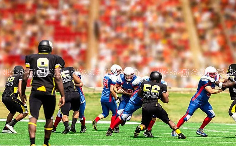 业主运动的盛宴：社区活力的新视角——业主运动会赛事亮点