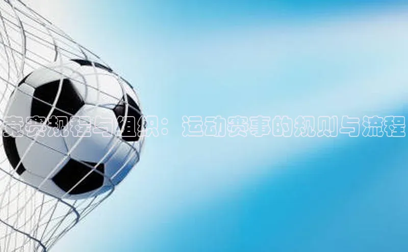 竞赛规程与组织：运动赛事的规则与流程